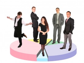 businessmen one woman pie chart
