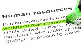 human resources highlighted in green