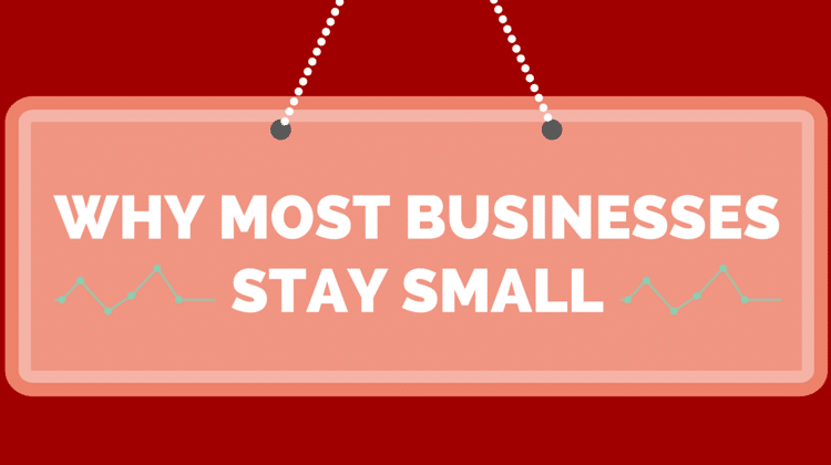 businesses stay small