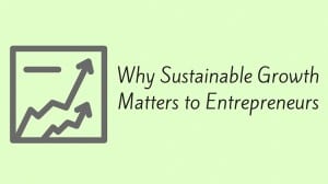 sustainable growth entrepreneurs