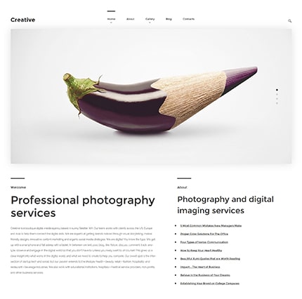 Art Photography WordPress Theme