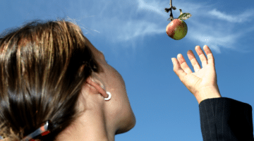 low hanging fruit business opportunity