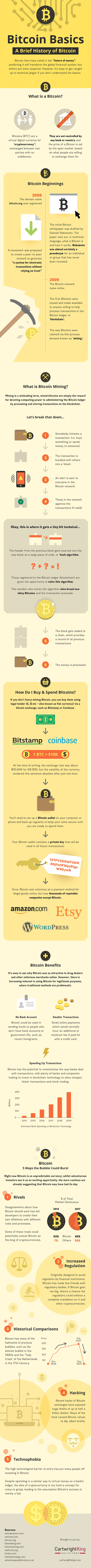 bitcoin infographic