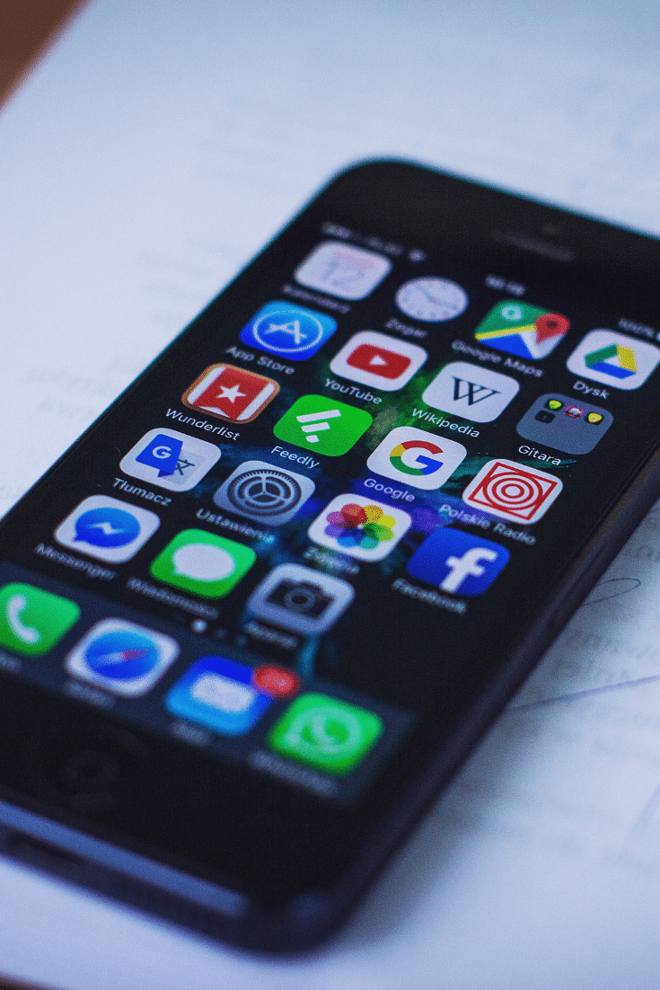 Does Having Software as a Service Make the Internet More Accessible?