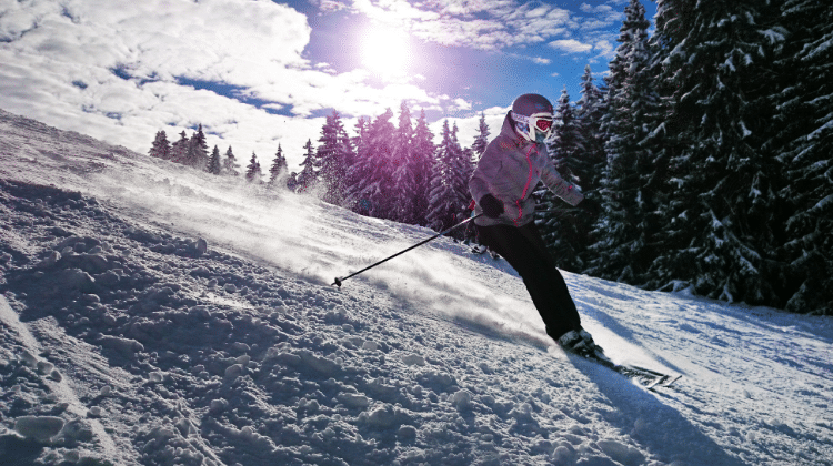 ski entrepreneur