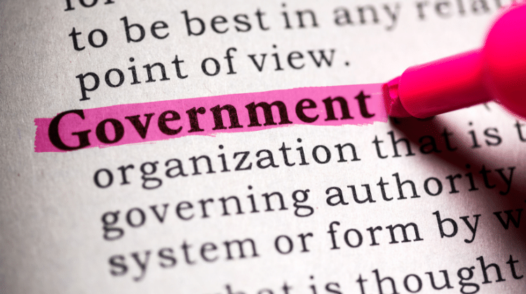 government