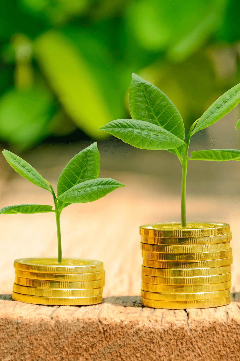 You Need to Invest Smartly: 7 Rules Investors Follow