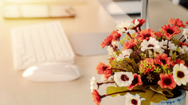 office flowers