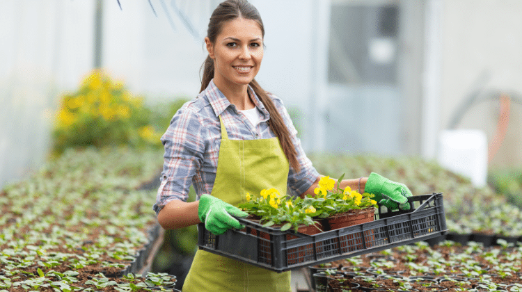 nursery business