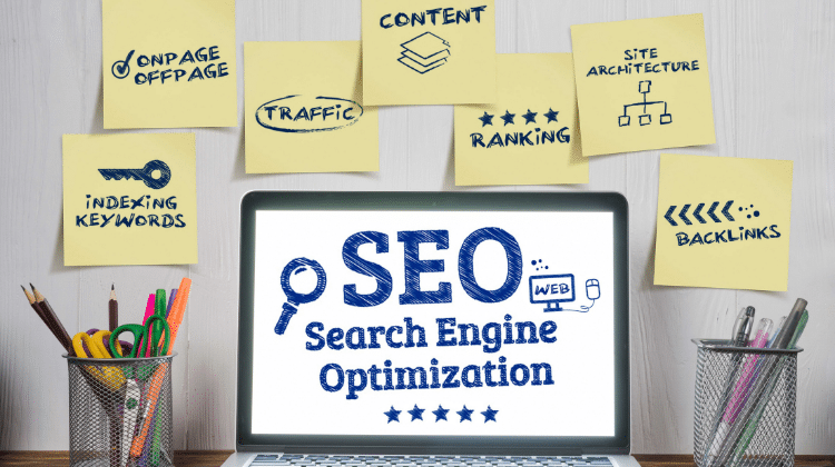 seo education